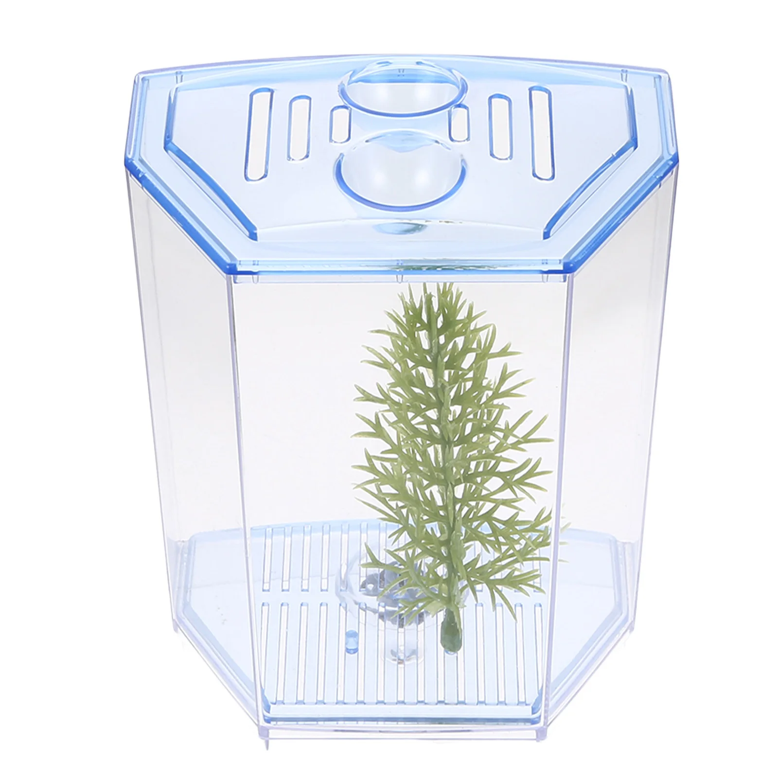 

Mini Plastic Fish Tank Transparent Desktop Aquarium Small Fish Breeding Box for Home Small Plant Landscape Decoration