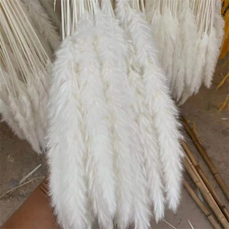 Small Pampas Grass, 60pcs Short Dried Pompas Grass Bunch for Vase Filler, Flower Bouquet & Home, Bedroom,Living Room Decorations