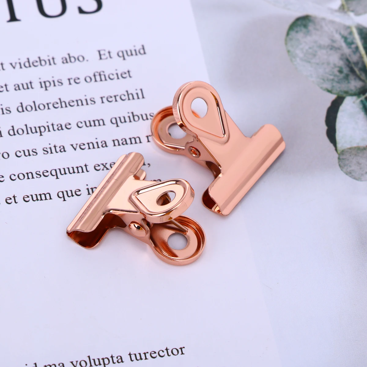 

20 PCS Financial Notes Clip Paper Clips Hinge Elliot Folder Clamp Copper Binder