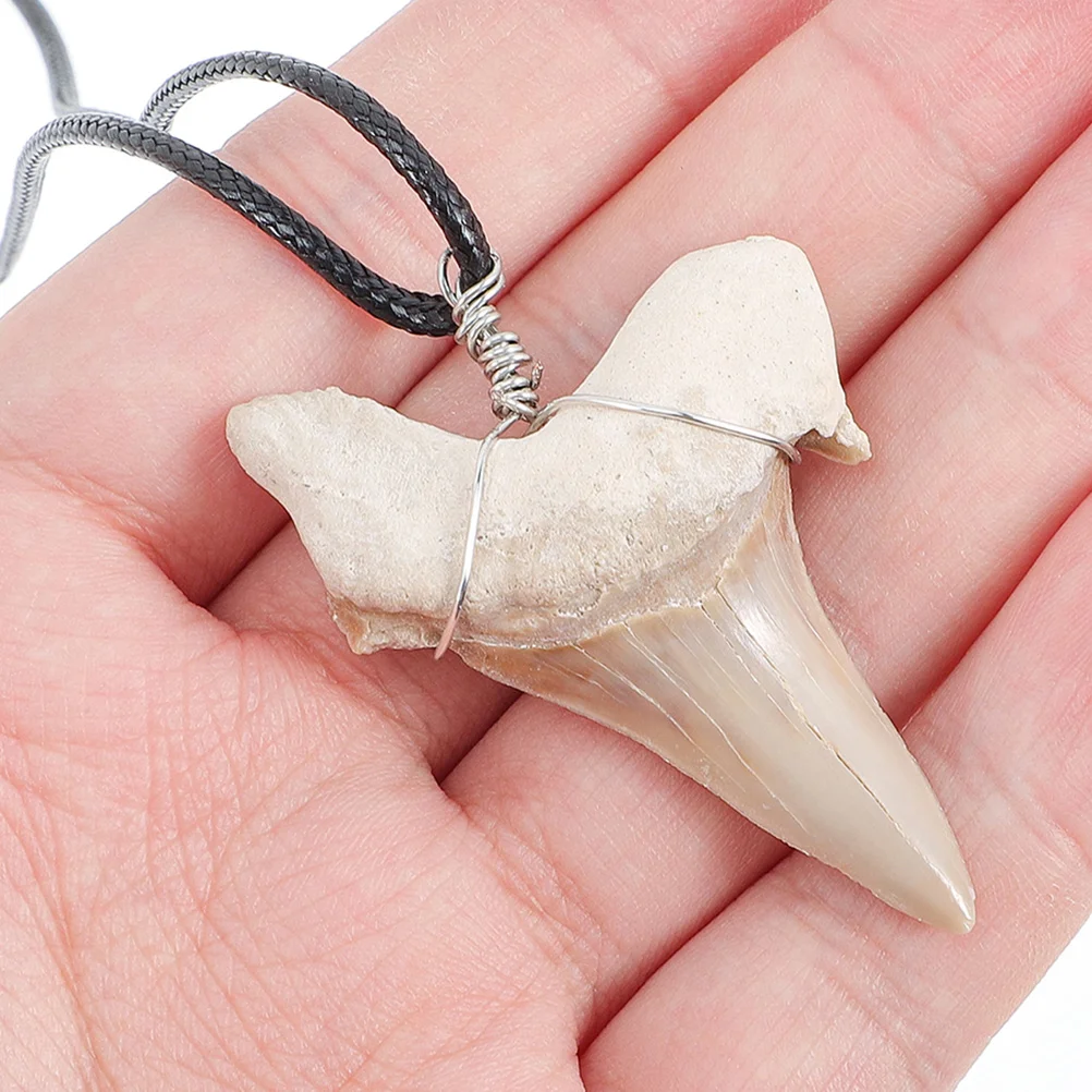 2 Pcs Shark Tooth Pendant Neck Jewelry Mens Necklace Charm Charms Ammonites Commemorate Decor for