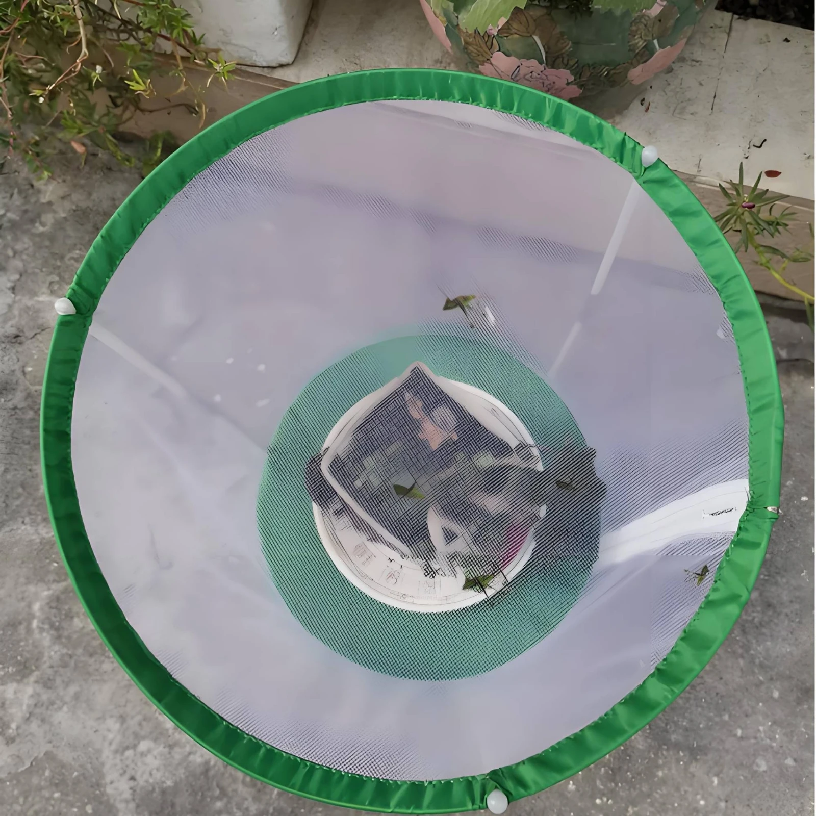 

Butterfly Observation Enclosure Transparent Mesh Butterfly Habitat Mesh Enclosure Lightweight Wildlife Enclosure Classroom Use
