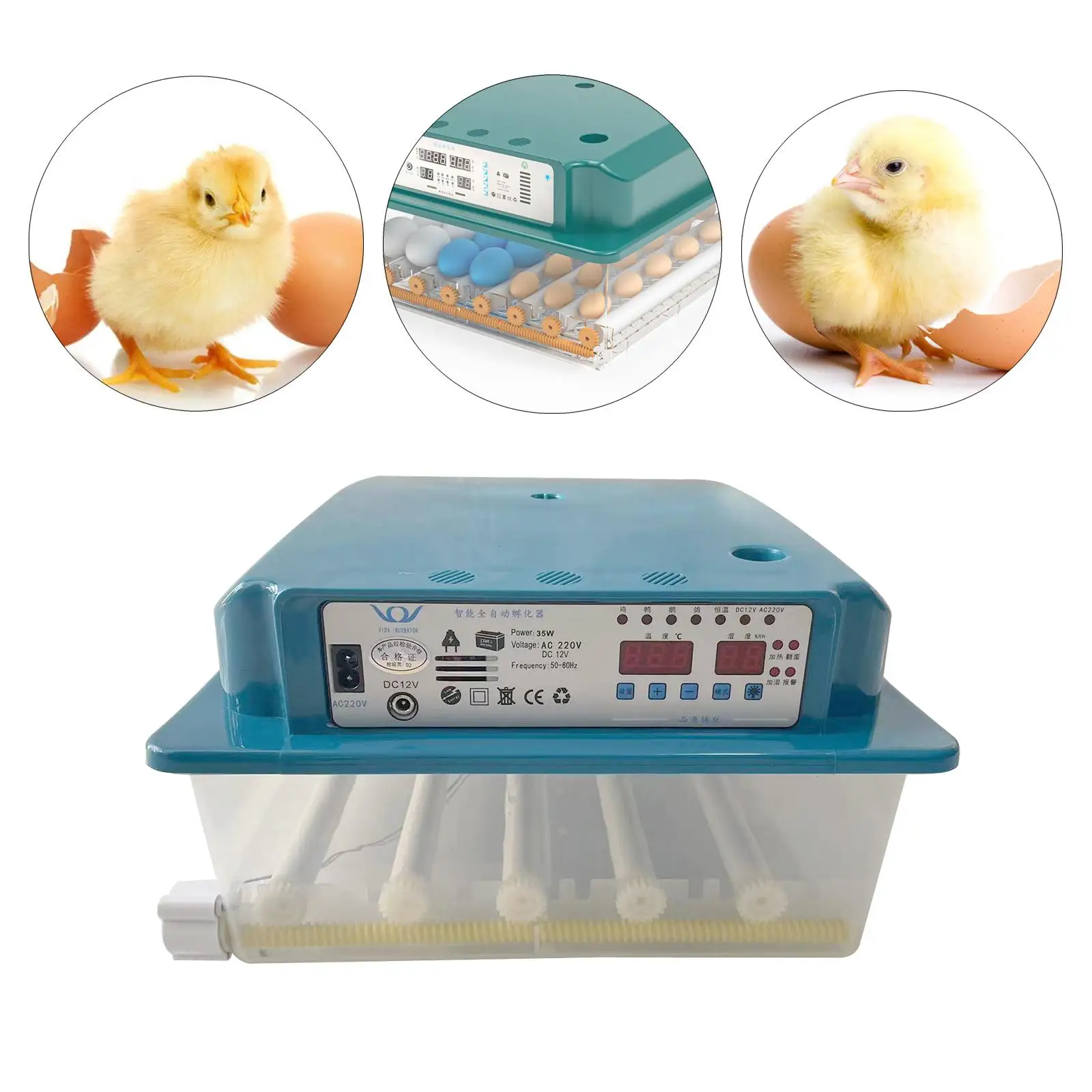 Clear Egg Incubator 24 Eggs Incubator with Temperature Control LED Candler Poultry Hatcher Automatic for Quail Goose EU Plug