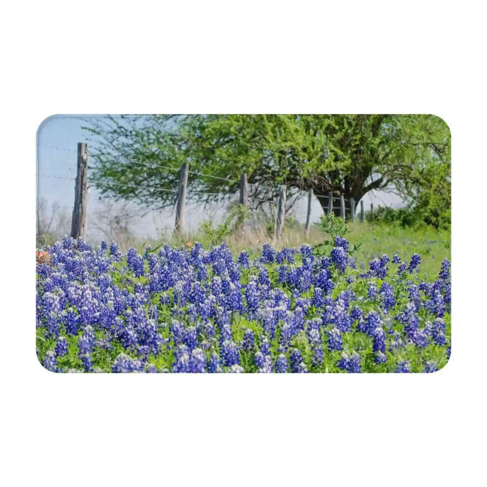 Texas Blue Bonnets Soft Cushion Car Home Carpet Door Mat Tree Texas Spring Blue Bonnets Fence