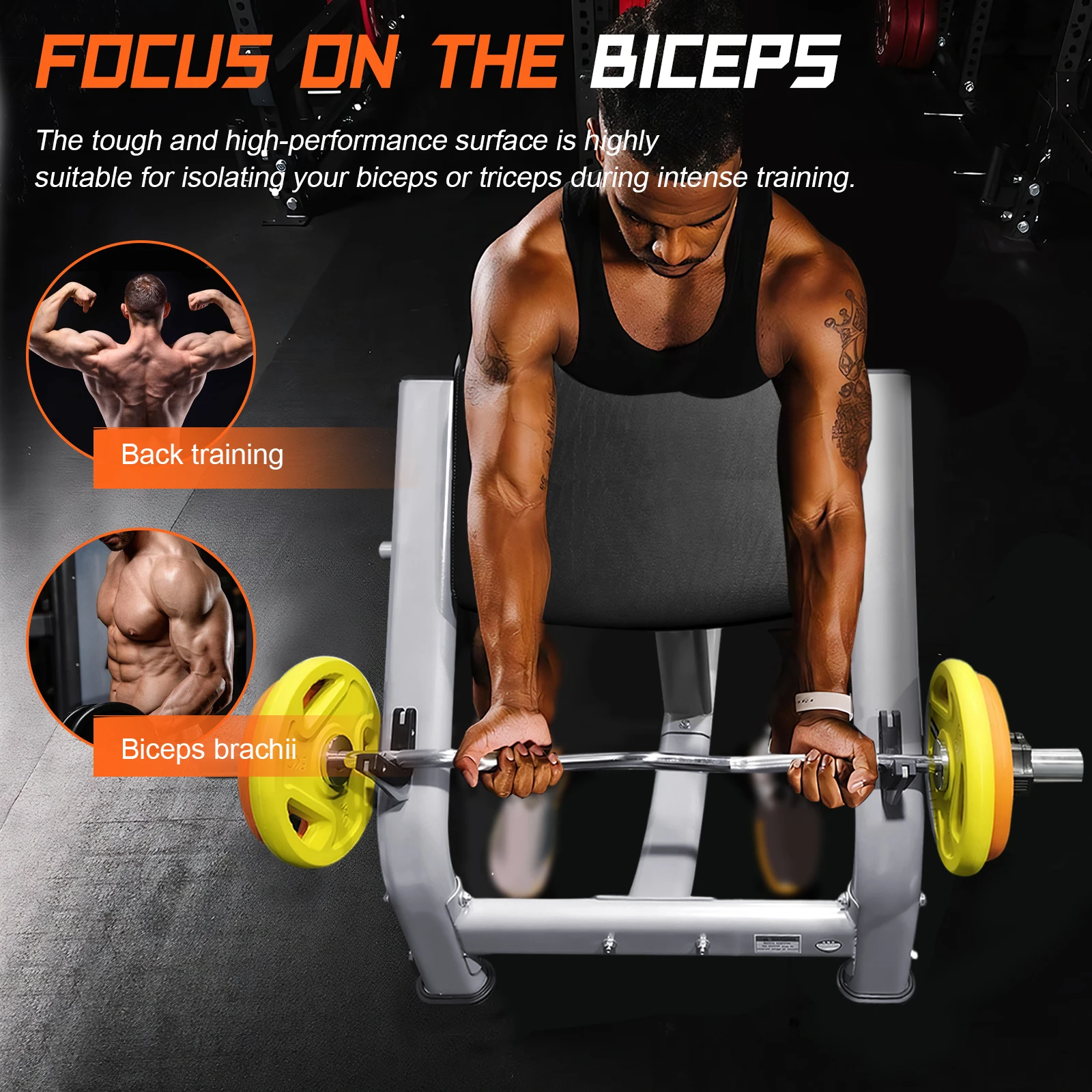 Preacher Curl Banco de pesas Banco ajustable Asiento Preacher Curl Bench Preacher Curl Estación de pesas Home Gym Equipo de fitness