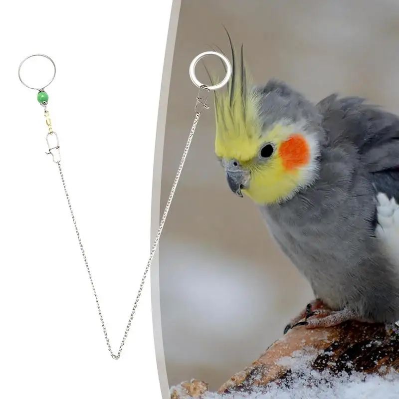 Parrot Neck Chain Stainless Parrot Training Neck Chain Safety Buckle Neck Collar Chain Prevent Parrot From Getting Lost