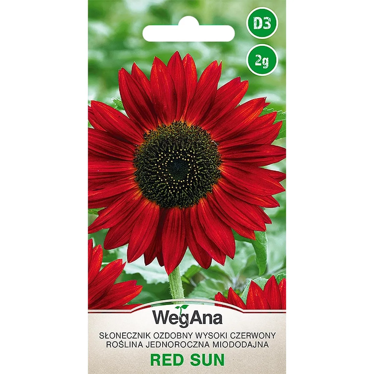 Sunflower Ornamental Tall Red Sun 2G VegAna Flower Seeds