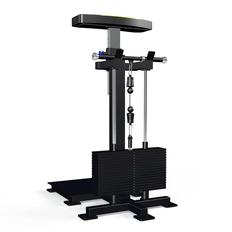 

Commercial Gym Fitness Equipment Wrist Curl Machine Training Machine