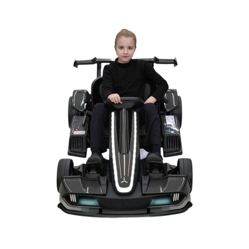 2025er Großkart mit hoher Geschwindigkeit, 24V-Version mit Handbremse, auch für Erwachsene geeignet und unterhaltsam zu fahren.