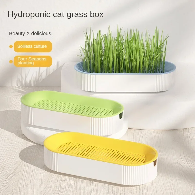 Hydroponic Cat Grass Box Cat Treats Catnip Hydroponic Soilless Planting Cat Grass Pot Set for Easy Growth