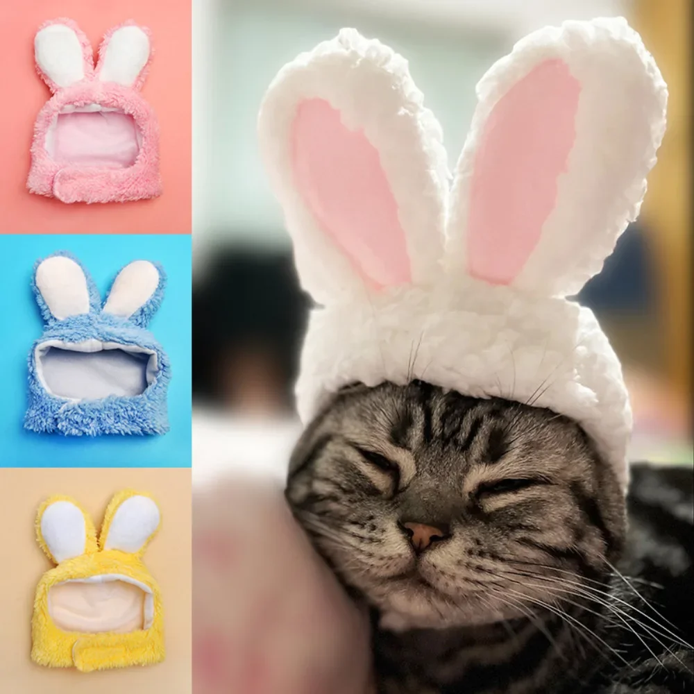 Cat and Rabbit Headgear, Dog Teddy Bear Transformed into Headgear, Garfield Cat and Rabbit Ears Internet Famous Pet Hat