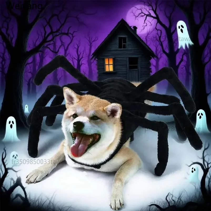 1 Stück Halloween-Spinnenkostüm, lustige Haustierkleidung für Katzen und Hunde, für kleine und mittelgroße Hunde, Halloween-Cosplay-Haustierzubehör