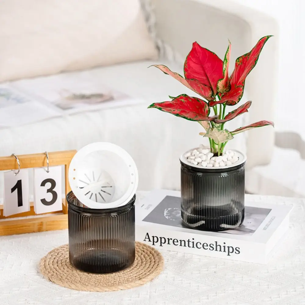 Plastic Self Watering Planter Pots Lazy Visible Water Level Self-watering Small Potted Transparent Bonsai Succulent Plant Pot