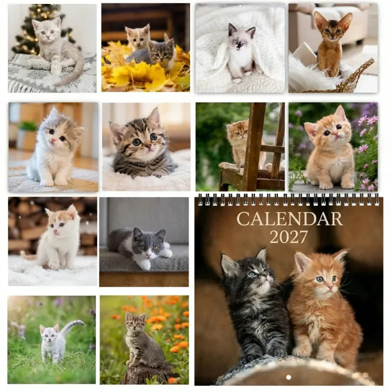 2027 Year 12 Months Wall Calendar, Two Fluffy Kittens Sitting And Playing, Scrollable Design With Dates, Ideal Gift For New Year