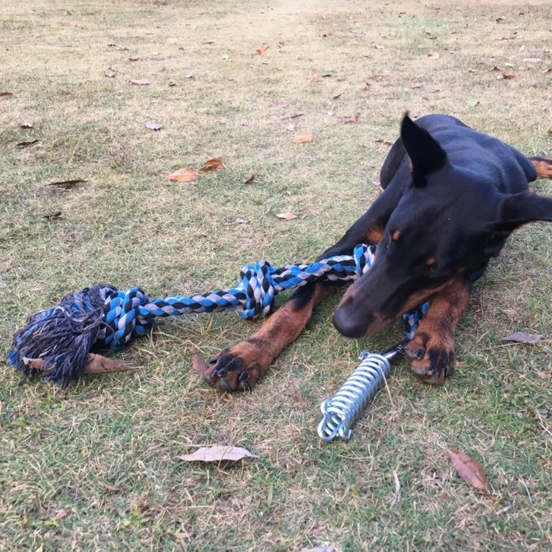 Spring Pole Dog Rope Toy Dog Tug Of War Toy Outdoor Pet Exercise Rope