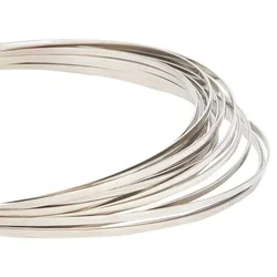 18 Gauge Flat Stainless Steel Wire, 23 Feet Metal Craft Wire Stainless Steel Wire for Jewellery Making Sculpture Floral