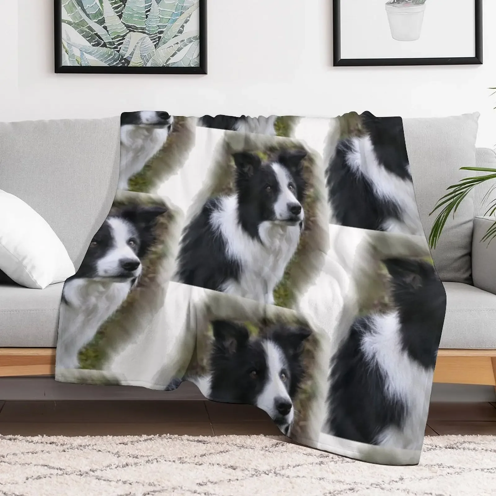 Border Collie Lover s Gifts Throw Blanket Blankets Sofas Of Decoration Soft Beds Cute Blankets