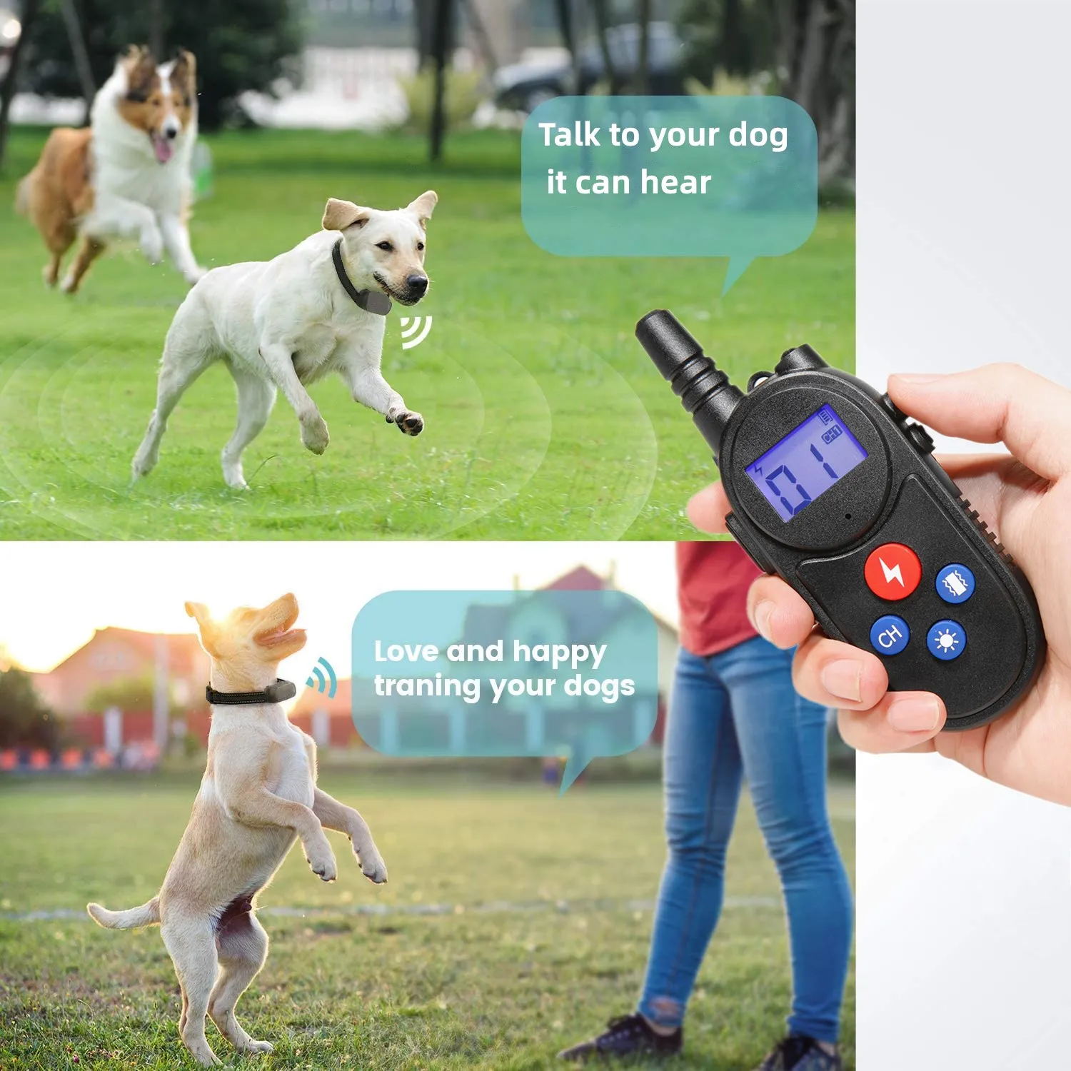 Walkie-Talkie Dog S…