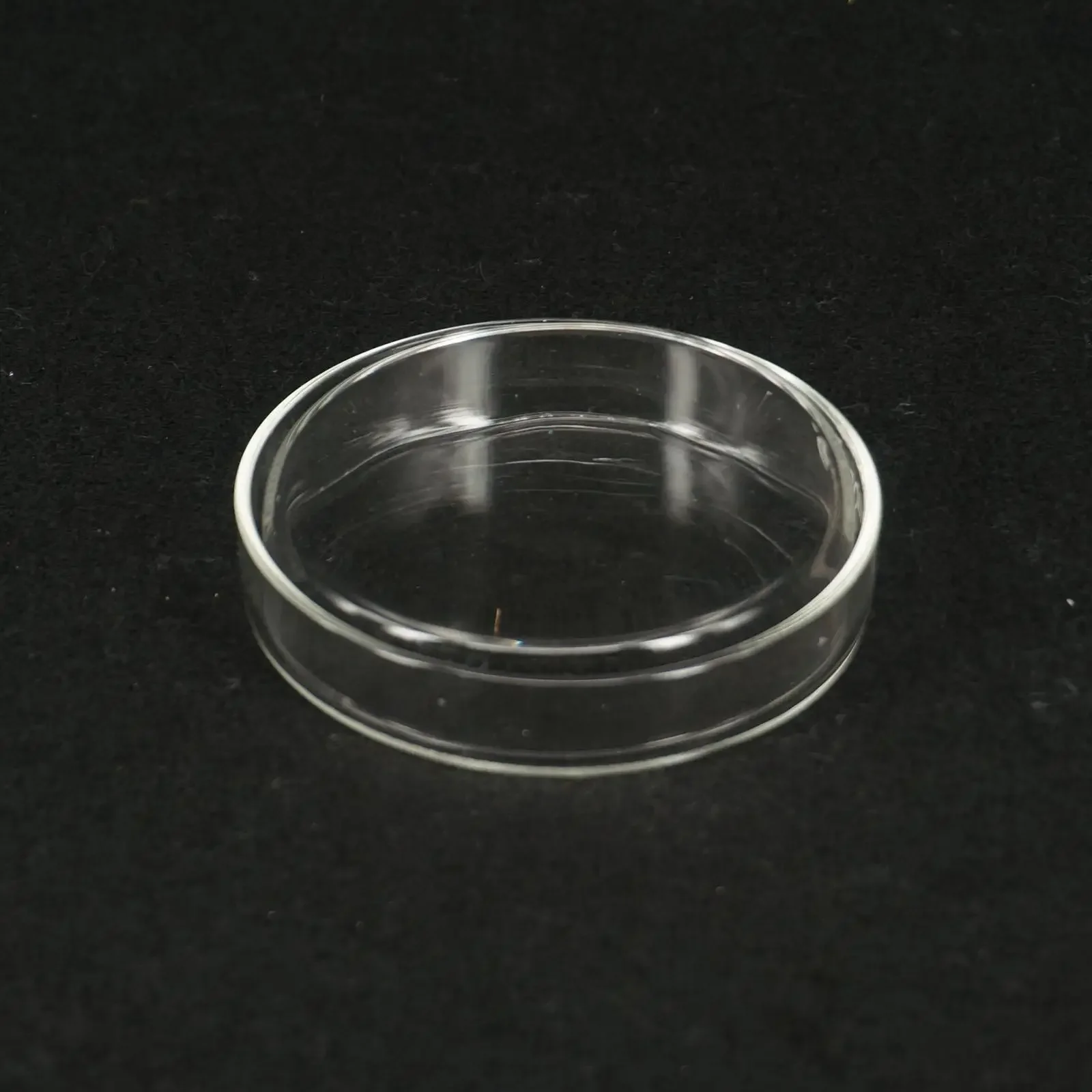 100mm Borosilicate glass Petri culture dish For Chemistry Laboratory Bacterial Yeast