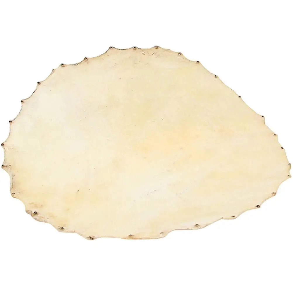 

Drum Skin 350MM Genuine Sheepskin Head Durable Musical Instrument Parts Percussion Accessories Lightweight Long Life