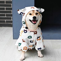 Chaigou Dog Raincoat Cartoon Bear Waterproof Clothes Dog Pet Kejiyu Wears Spring and Summer Rain to Walk the Dog