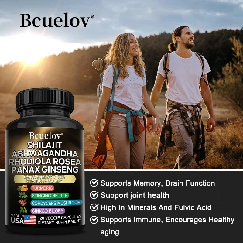 Shilajit Pure Himalaya, Energy Booster, Rhodiola, Ginseng, Turmeric, Ginkgo Biloba, Cordyceps Mushroom, Joint, Brain Support