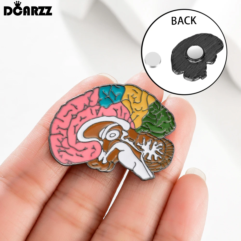 DCARZZ Brain Magnetic Brooch Medical Jewelry Anatomy Brain Pin Badge for Docor Nurse Backpack Lapel Decorations