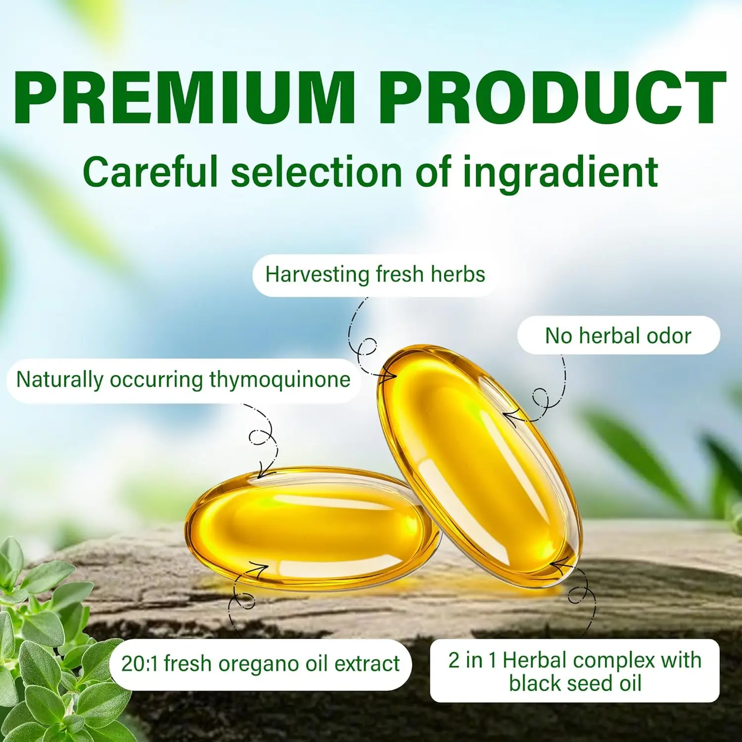 Non-GMO Oregano & Black Seed Oil Softgels 300 Count 2 Pcs Bottle Oil of Oregano And Black Seed Supplement