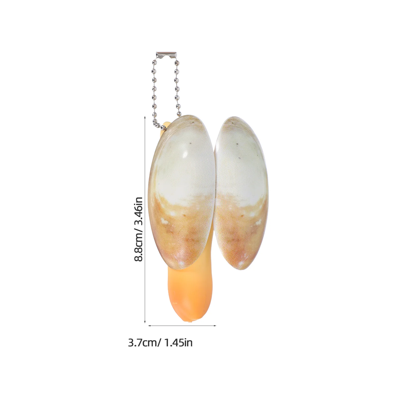 ปืนฉีดน้ำแบบกด 4 ชิ้น รูปทรงหอยเป๋าฮื้อเหมือนจริง สำหรับเด็กเล่นกลางแจ้ง สระว่ายน้ำ ฤดูร้อน เกมแกล้งเพื่อน ปืนฉีดน้ำสำหรับสนุกในสวน