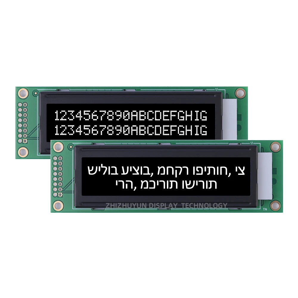 Schermo di visualizzazione del modulo LCD a caratteri ebraici 2002A, luce verde smeraldo, schermo di visualizzazione dell'amplificatore Audio nero