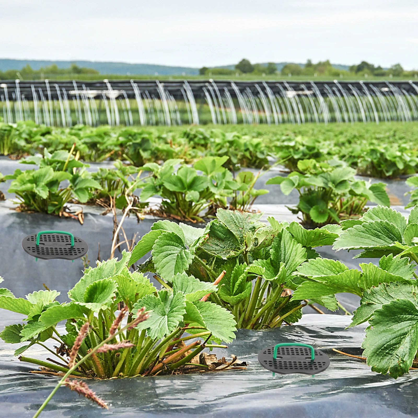 

100pcs Garden Stakes Set Galvanized U-Shaped Metal Ground Pegs For Landscaping Plants Outdoor Fixing Kit Zinc Plated Steel Wire