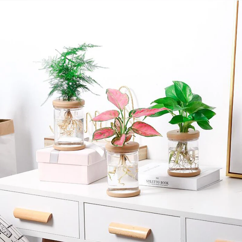 【Lazy Transparent Flowerpot Hydroponic Automatic Water Absorption Flowerpot】