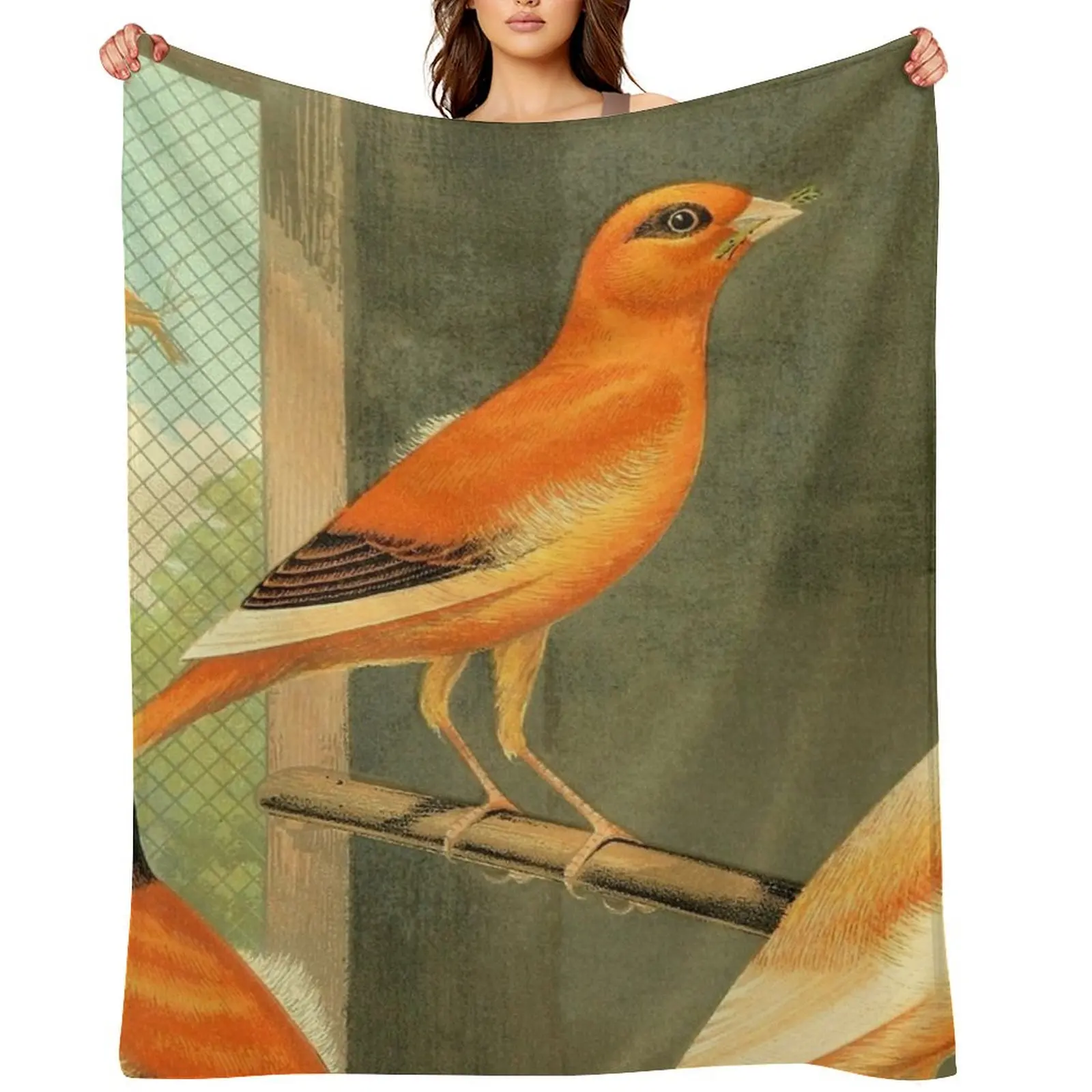 

Norwich Canaries Cage Birds Art Prints Old Painting Antique Drawing Throw Blanket Hairys Moving Sleeping Bag Blankets