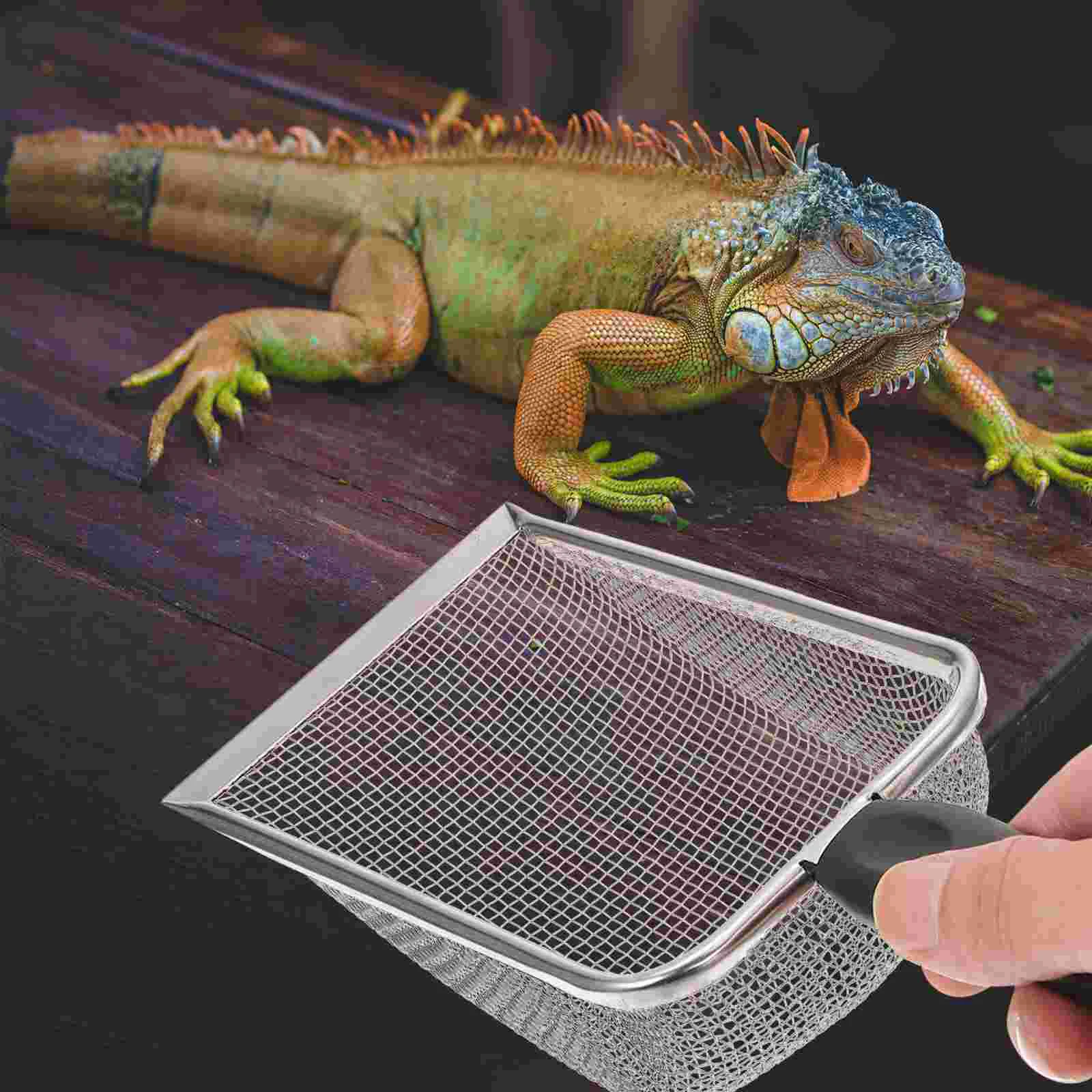 Sand Reptil Scoop Wurf Scooper Mesh Reptilien Substrat Box Filterung Stahl Edelstahl Bettwäsche Reiniger Katze Sichter Metall Feine