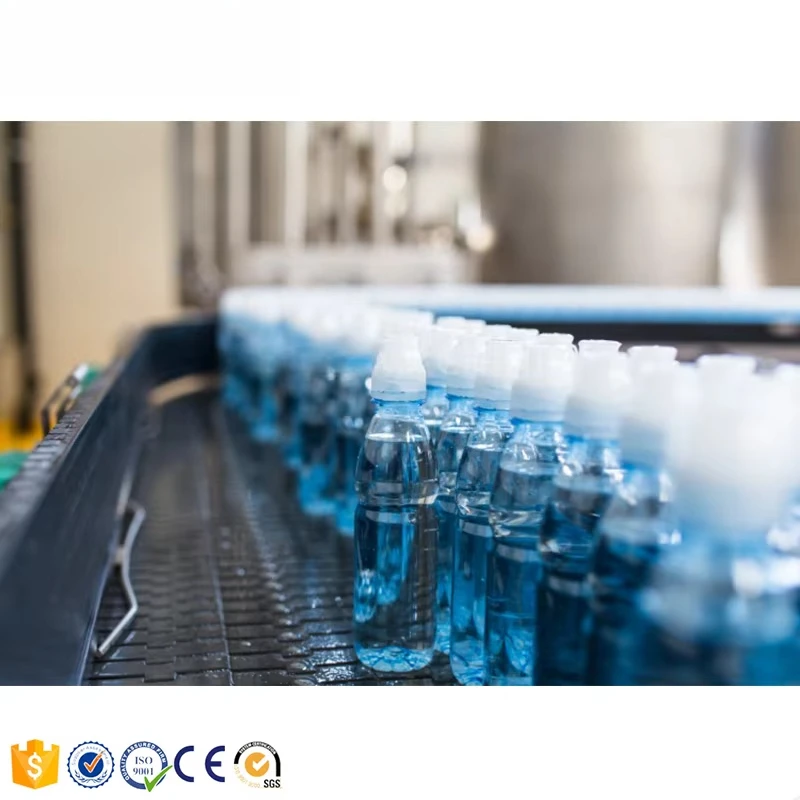 Custom Complete Natural Juice Production Fruit Juice Production Line Juicer Production Line Processing Machine
