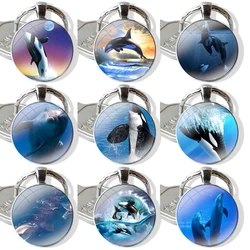 Ocean animals dolphin seal portachiavi in vetro Cabochon ciondolo in metallo portachiavi da donna classico da uomo