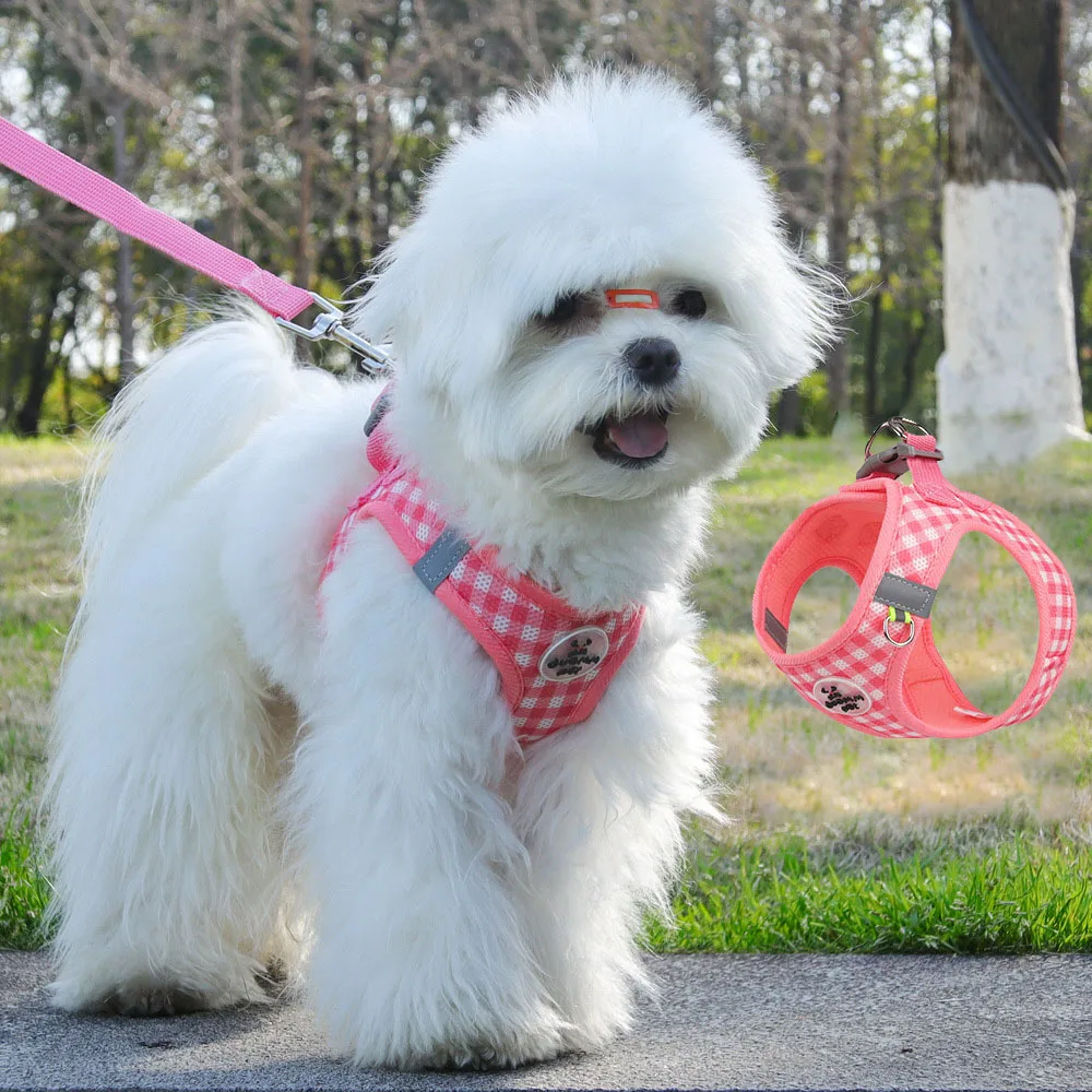 

Нагрудный комод для домашних животных, подходит для кошек и собак, различные размеры, клетчатый узор, поводок для домашних животных, товары для домашних животных