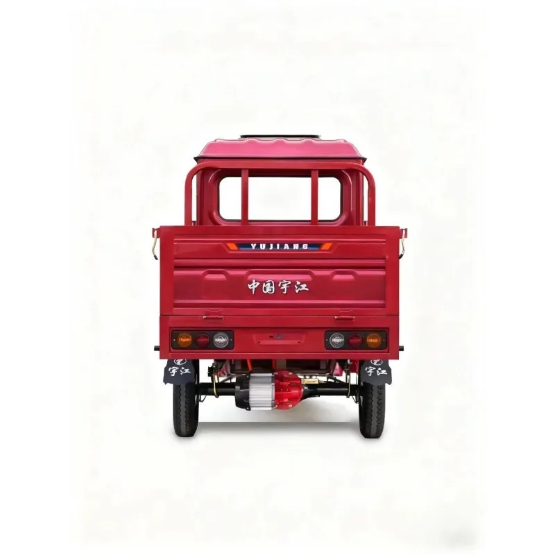 Qpen 500W-800W Electric Tricycle for Adults 60V 3-Wheel Passenger Tricycle Unique Design Motor Open Body DOT Certified view 4