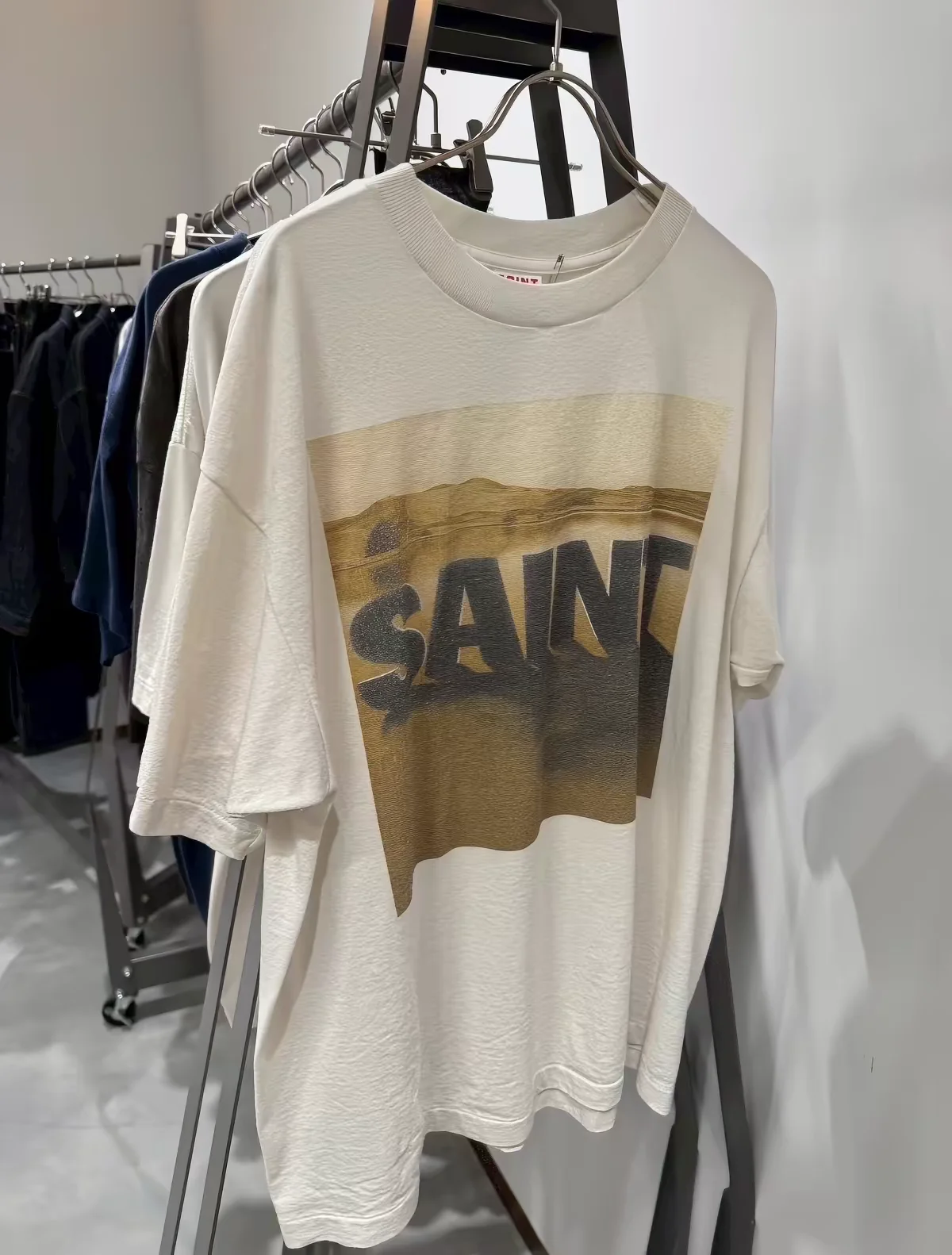 Saint Desert Oasis Print T-Shirt Men Women Best Quality T Shirt Tee Tops