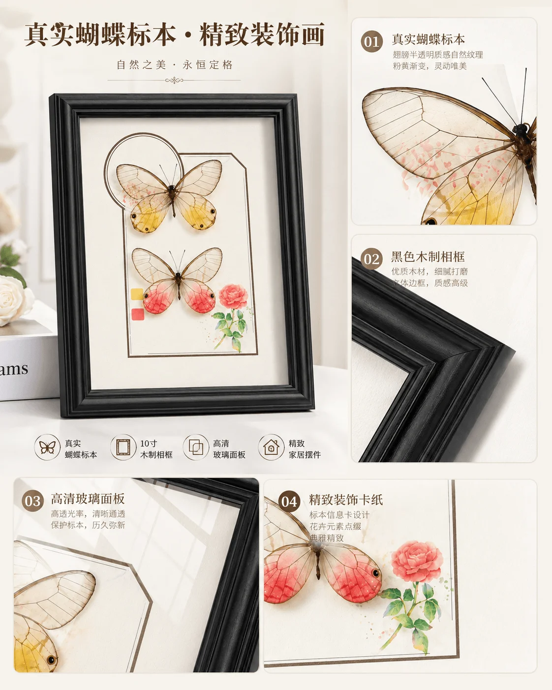 10-Inch Real Butterfly Specimen Display, Rose Glasswing & Yellow Eyed Butterfly, Wooden Frame Wall or Desk Decor