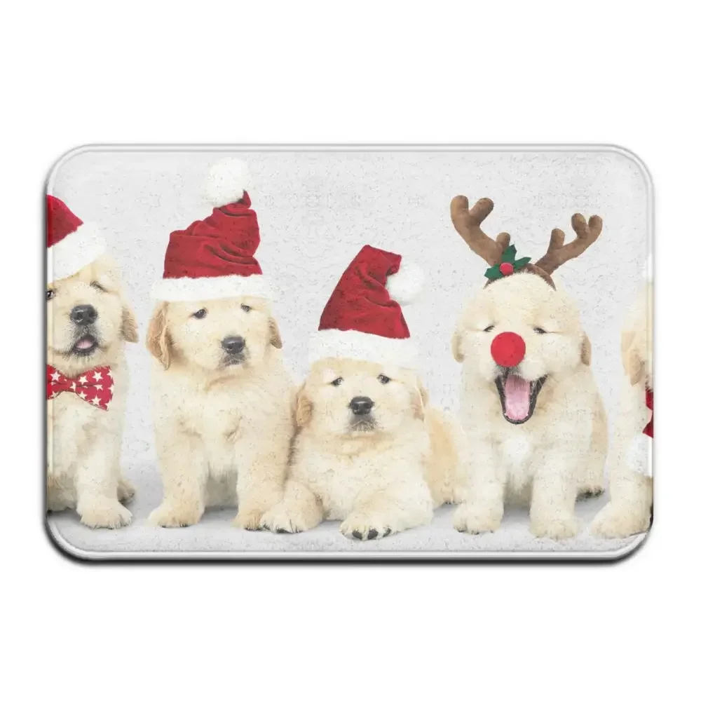 Custom Doormat Personalized giftsText Name Pet Dog Cat Photo No Need to Knock We Know You're Here,indoor/outdoor carpet Door mat