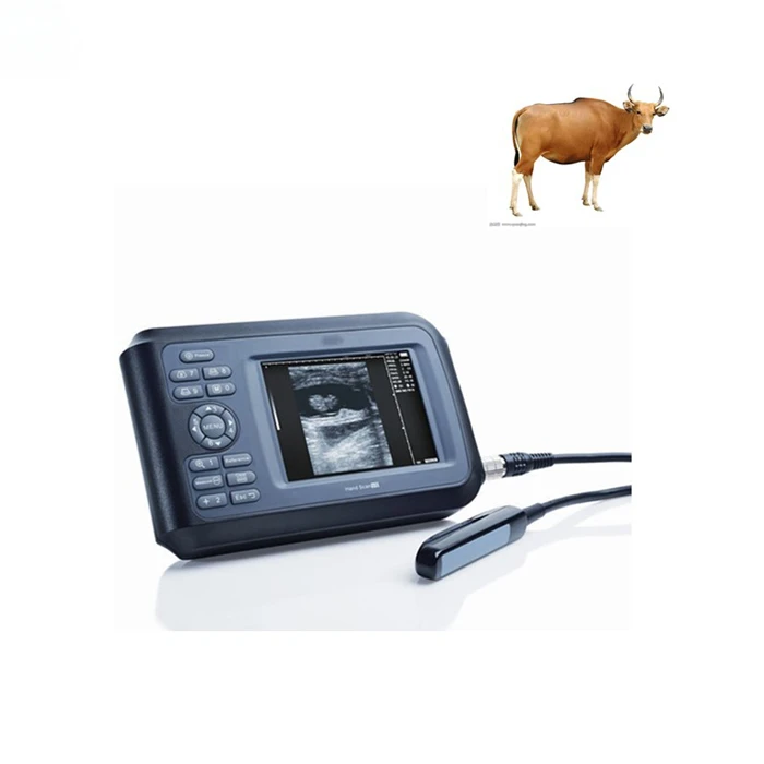 

Vet Sonar Ultrasound Used for Animal Portable Wrist Veterinary Ultrasound Scanner