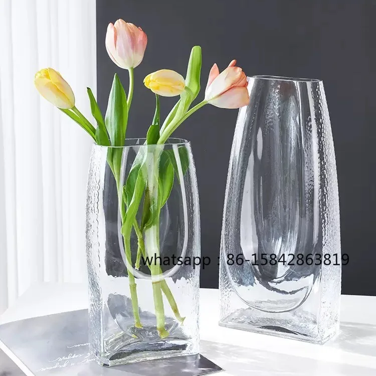 Glass Vase Transparent Flat Mouth Wangcang Creative Hydroponic Flowers Living Room Dining Table Vase