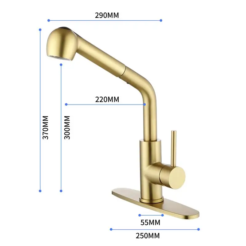 

Single-Handle Pull-Out Laundry Faucet with Dual Spray Function in Spot-Resistant Gold Finish