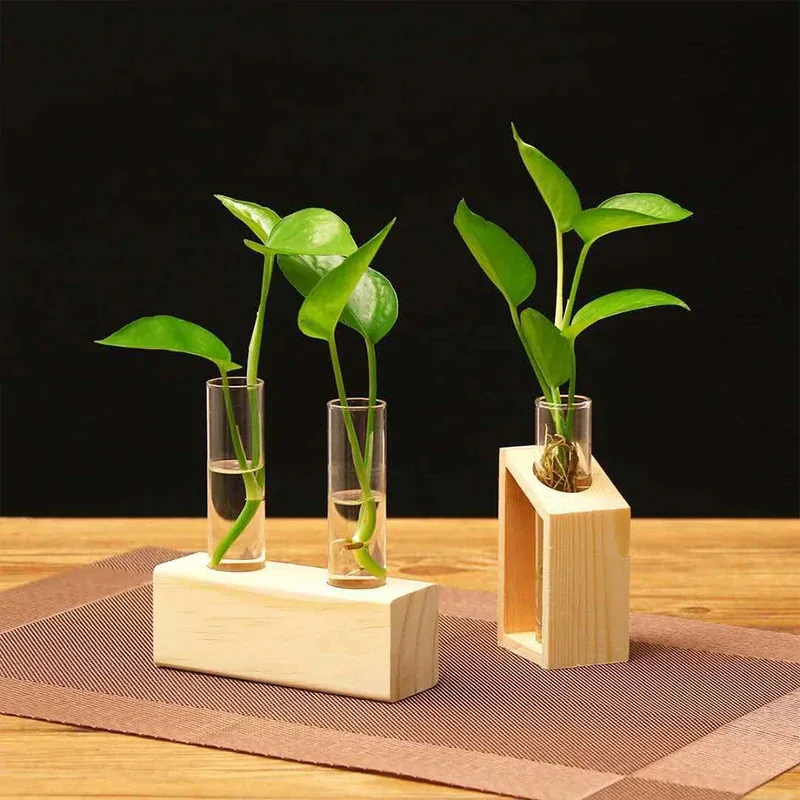 Reagenzglas-Glasvase, Pflanzenvermehrungsstation, Hydrokultur-Vasen für Pflanzen mit Holzständer, Terrarium, Büro, Zuhause, Desktop-Dekoration