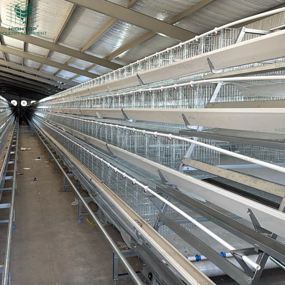 Heavy Duty A-Type Automatic Layer Chicken Cages 4-Tier Battery Laying Hen Cage System for Long Life in Humid Conditions