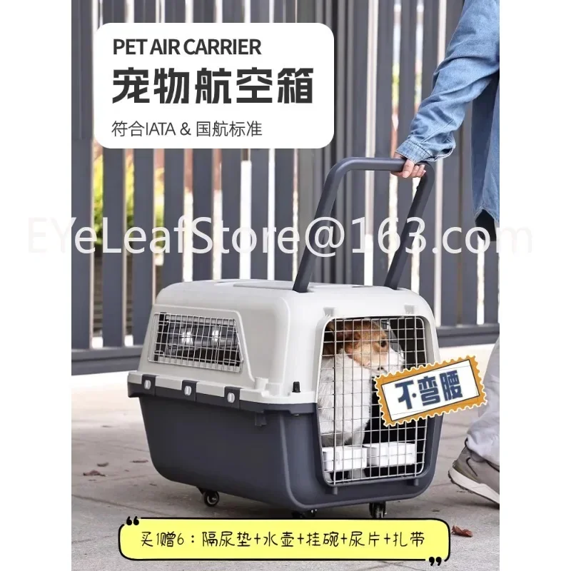 Pet Flight Case South  China Eastern Airlines Standard Check-in Suitcase