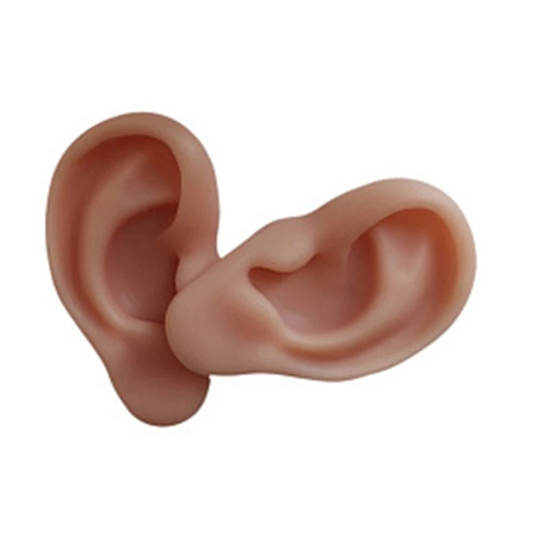 인체 해부학 실리콘 귀 침술 연습 키트, 봉합 훈련, 교육 도구용