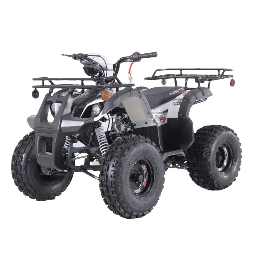 

Quad Bike Atv Customized for Kids Automatic 110cc 12V 5AH Atv Cforce Front Disc+rear Drum 2WD