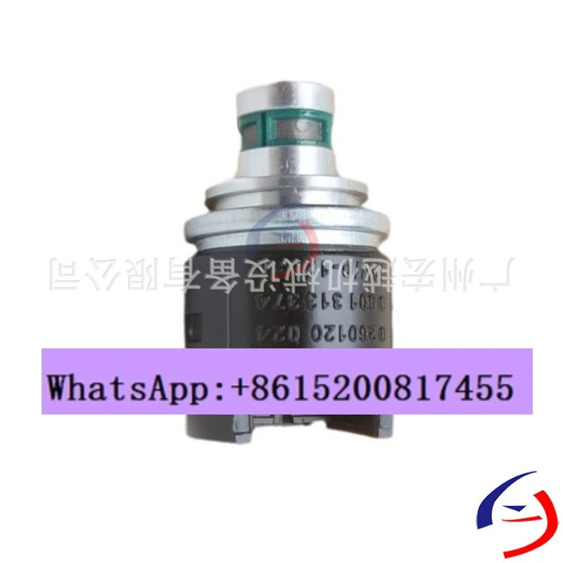 

0260120024 12V 0501313374 Solenoid valve/Solenoid valve