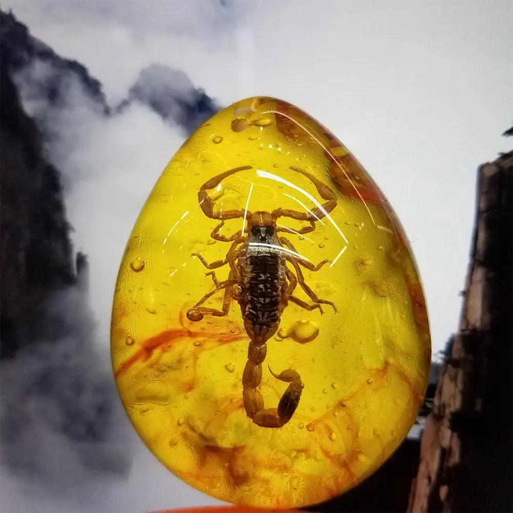 1PC Insects Amber Gemstone Scorpion Natural And Mineral Amber Decor Gemstone DIY Home Gift Hand Stones Crafts Insects Q3S3